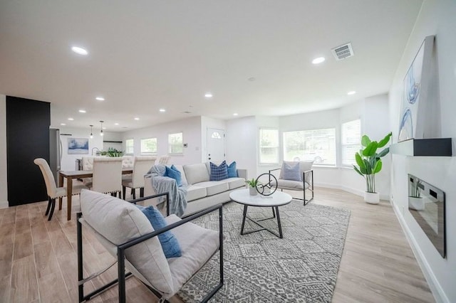 living room featuring light hardwood / wood-style flooring and a healthy amount of sunlight