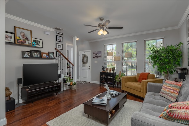 living room featuring ornamental molding, plenty of natural light, and dark wood-type flooring