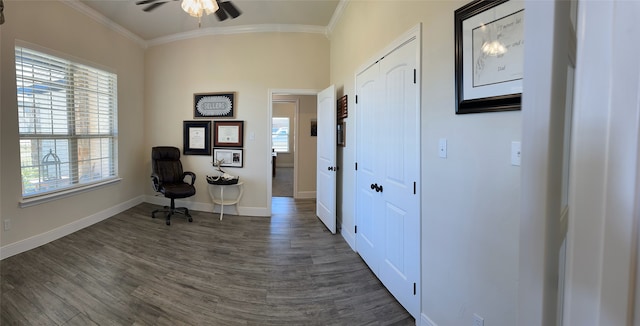 interior space featuring dark hardwood / wood-style flooring, crown molding, and a wealth of natural light