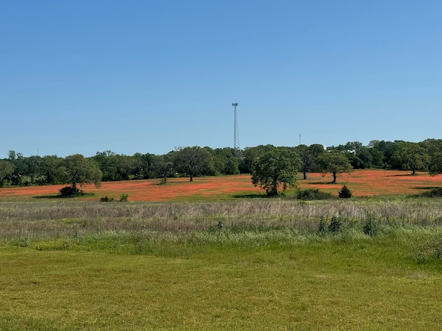 view of local wilderness with a rural view