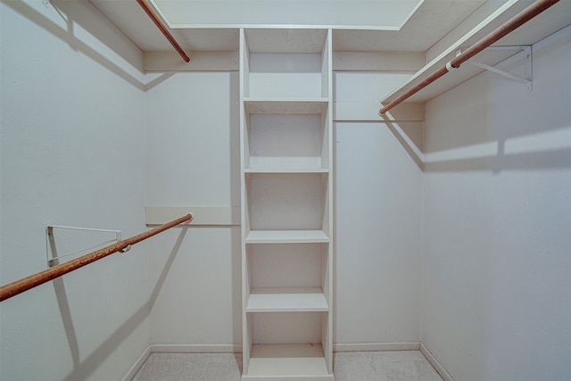 spacious closet with light carpet