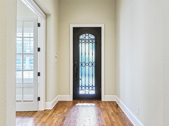 entrance foyer featuring hardwood / wood-style flooring and a wealth of natural light