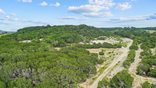 Listing photo 3 for TBD County Road 204 35, Stephenville TX 76401