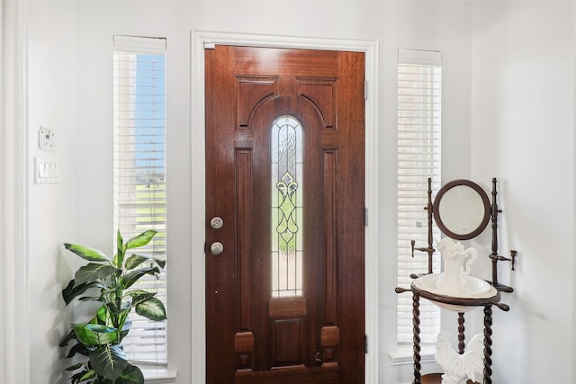 foyer featuring a healthy amount of sunlight