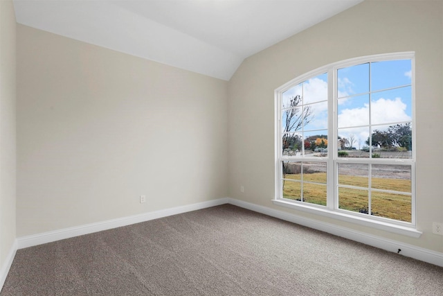 carpeted spare room featuring a healthy amount of sunlight and lofted ceiling