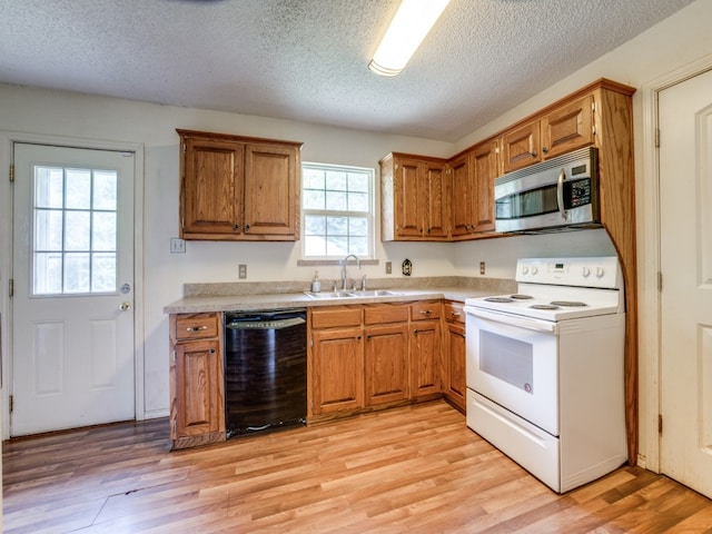 kitchen featuring light hardwood / wood-style flooring, a wealth of natural light, dishwasher, and white electric stove