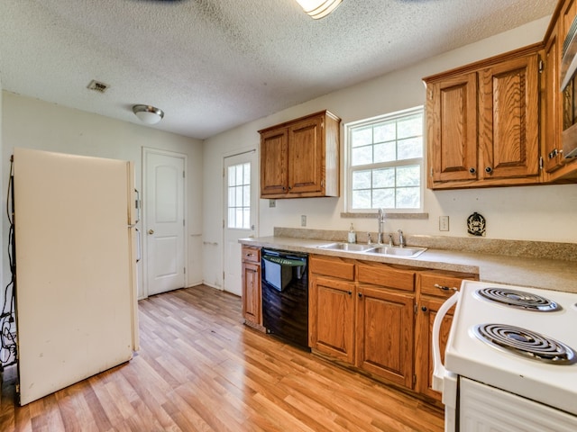 kitchen featuring light hardwood / wood-style floors, a textured ceiling, white appliances, and sink