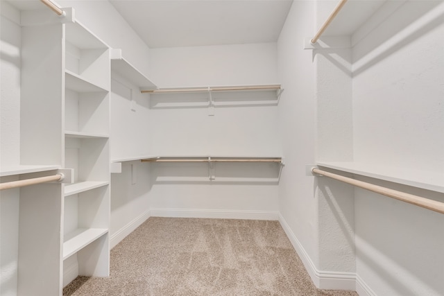 spacious closet featuring light carpet