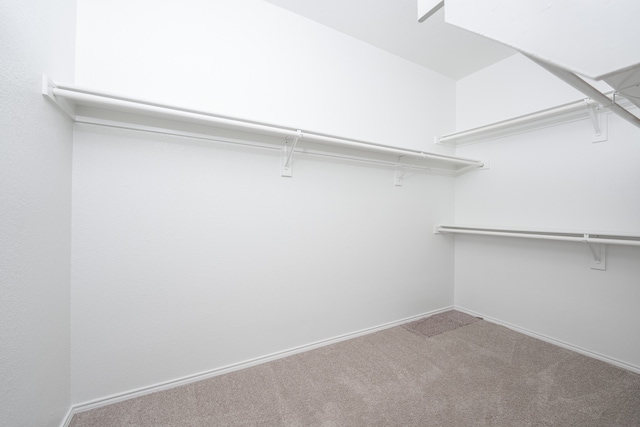 spacious closet with carpet flooring