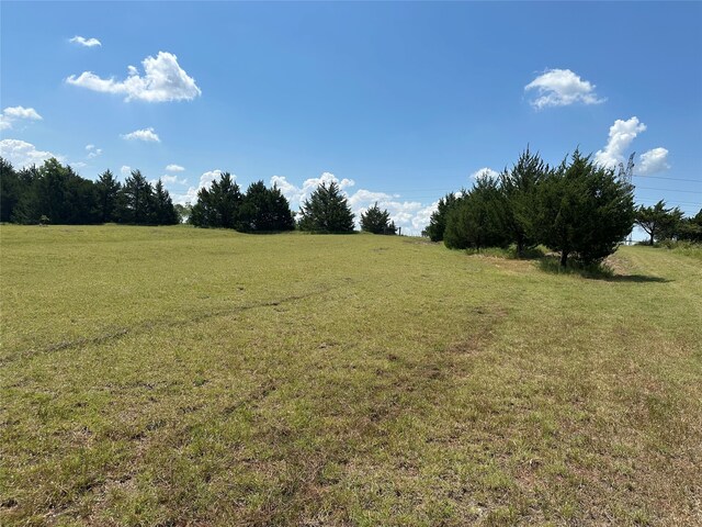 view of local wilderness featuring a rural view