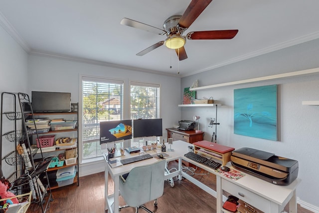 office space featuring dark wood-type flooring, ceiling fan, and ornamental molding