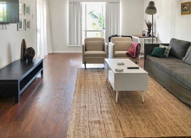 living room featuring dark hardwood / wood-style flooring