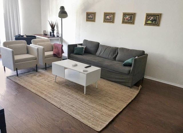 living room featuring dark wood-type flooring