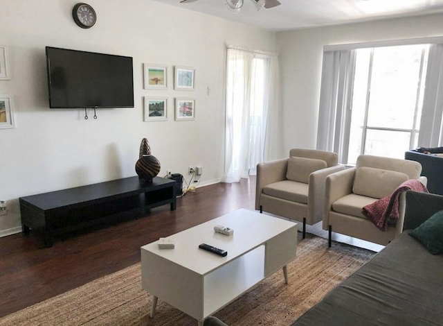 living room featuring dark hardwood / wood-style floors