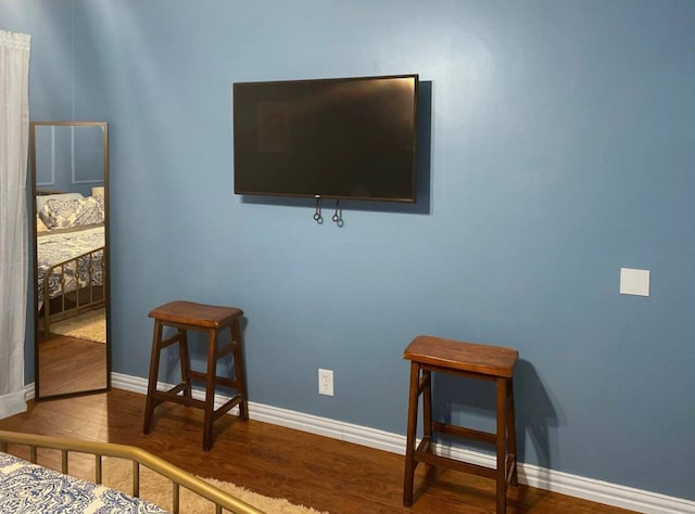 bedroom with wood-type flooring