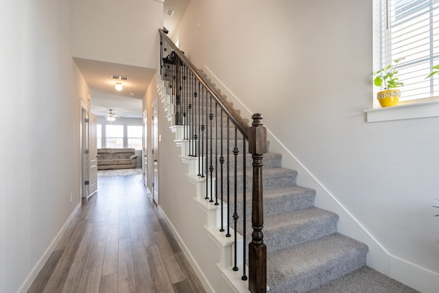 stairs with hardwood / wood-style floors