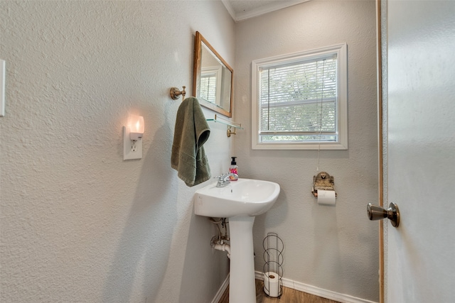 bathroom with ornamental molding