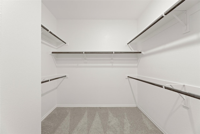 spacious closet with light colored carpet