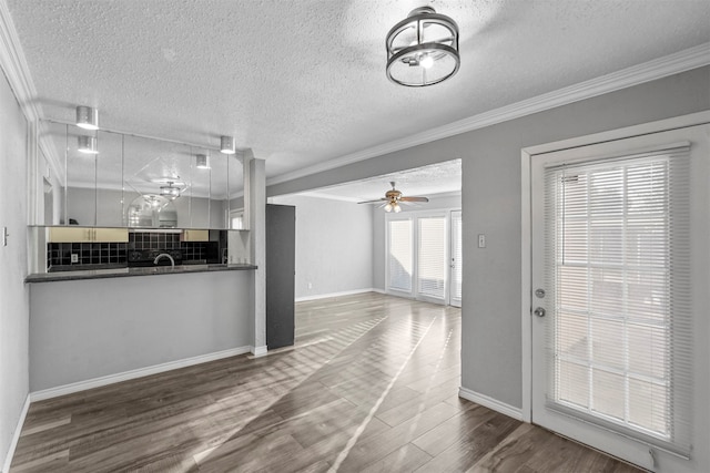 kitchen featuring decorative backsplash, a textured ceiling, and dark hardwood / wood-style flooring