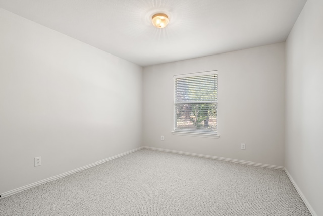 spare room with carpet