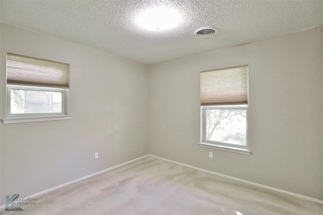 empty room featuring light carpet, a textured ceiling, and a wealth of natural light