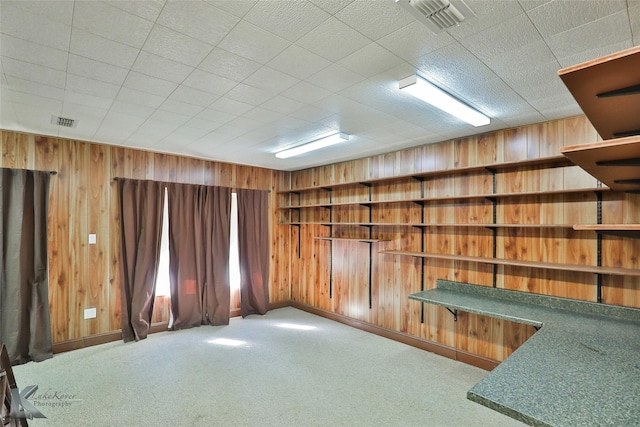 interior space with wood walls