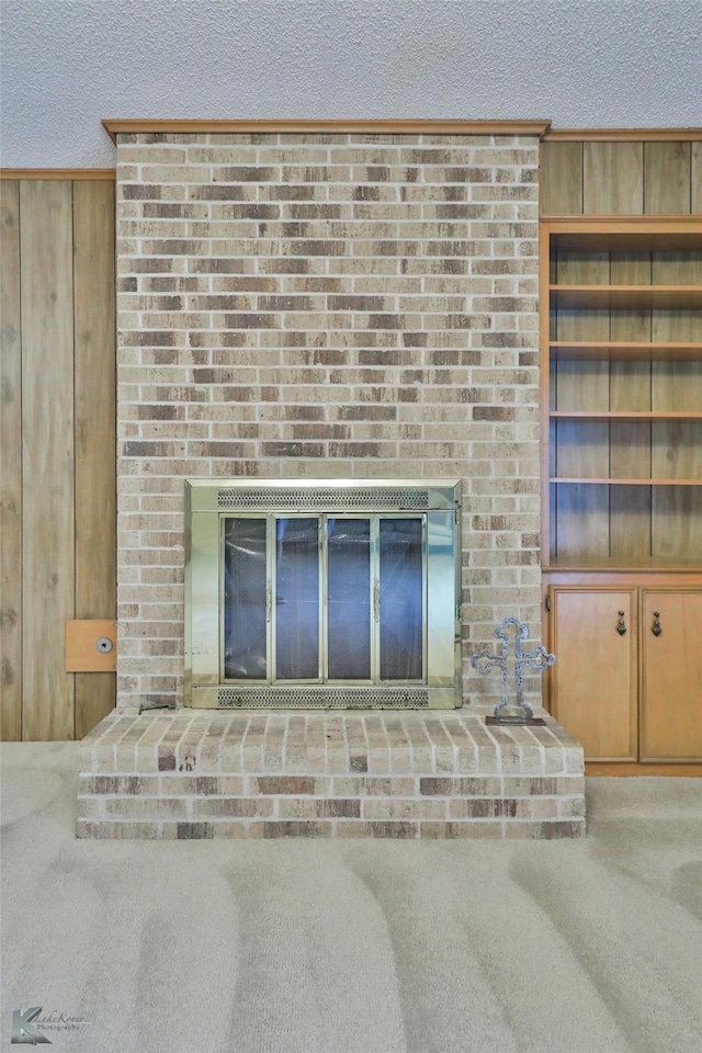 details featuring wooden walls, carpet, and a textured ceiling