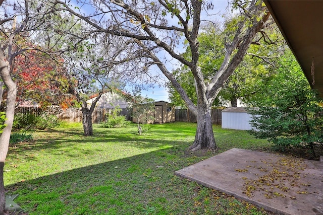 view of yard featuring a storage unit and a patio area