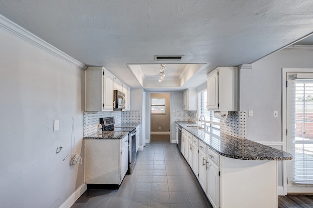 kitchen featuring a tray ceiling, white cabinetry, tasteful backsplash, and stainless steel appliances