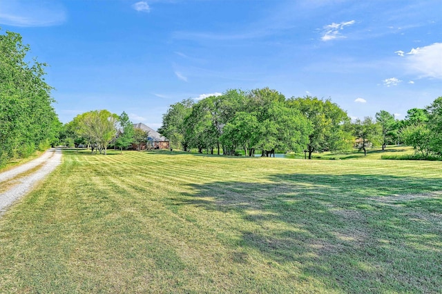 view of yard with a rural view