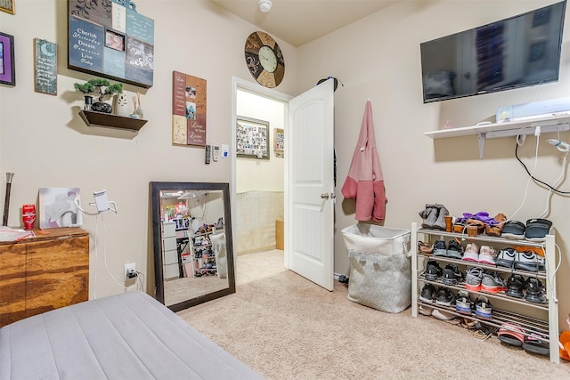 bedroom featuring light colored carpet