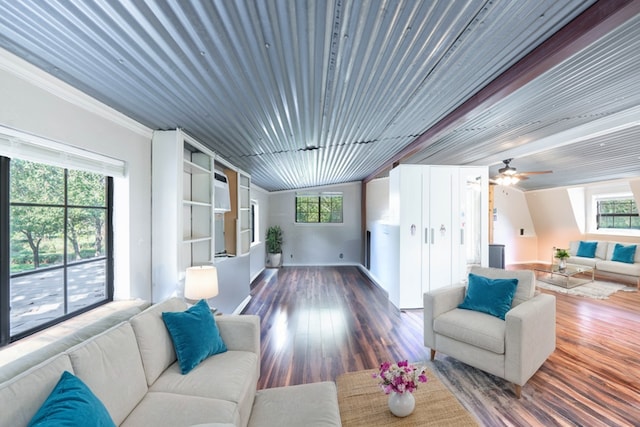 living room featuring ornamental molding, ceiling fan, and dark wood-type flooring