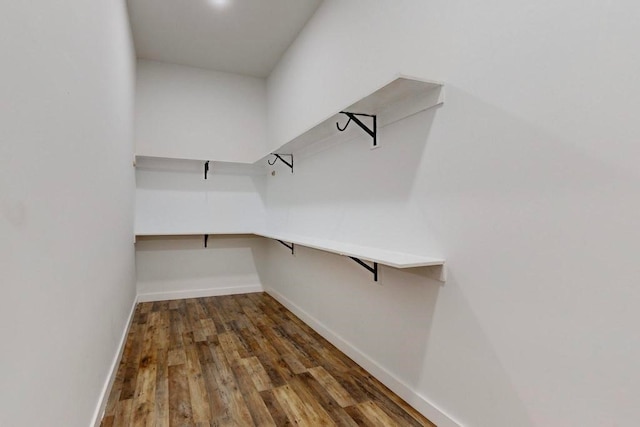 spacious closet with dark wood-type flooring