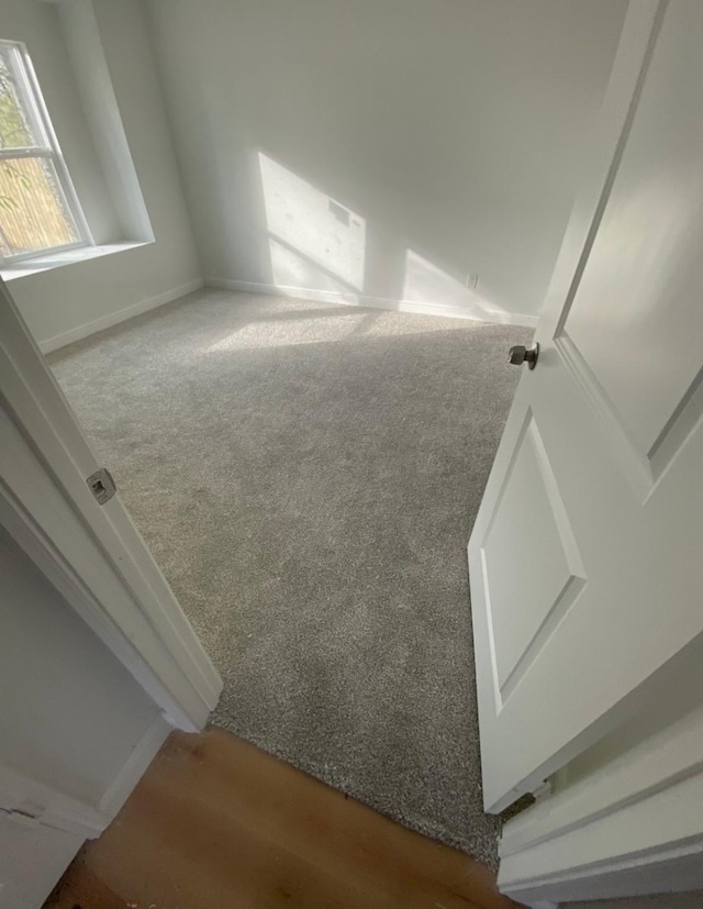 interior space with carpet floors