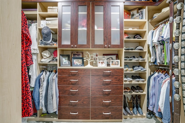 view of spacious closet