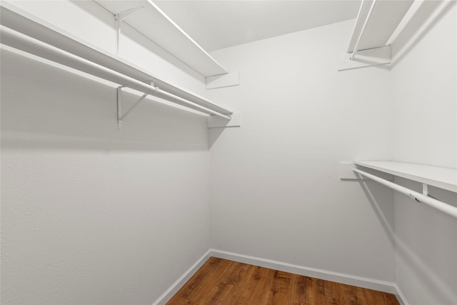 walk in closet with wood finished floors