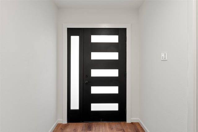 entrance foyer with hardwood / wood-style flooring and a healthy amount of sunlight