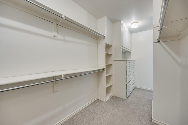 spacious closet with light colored carpet