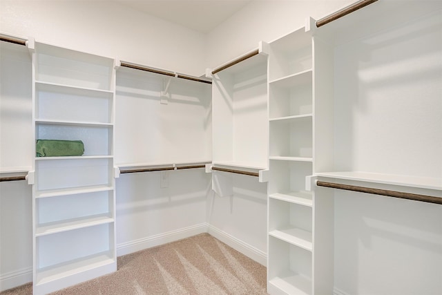 walk in closet featuring light colored carpet