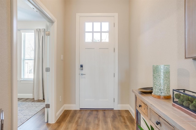 foyer entrance with hardwood / wood-style flooring and a healthy amount of sunlight