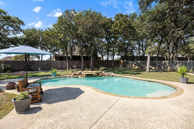 view of pool with a lawn and a patio area