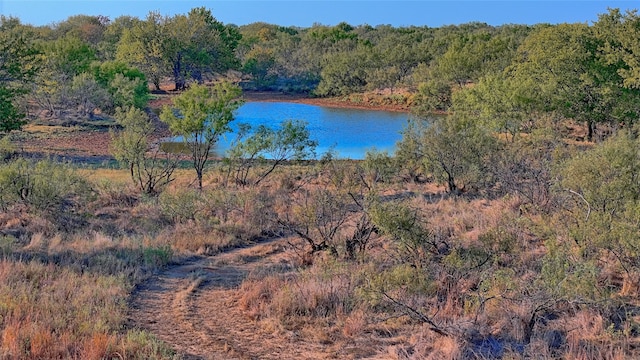 TBD Barrel Spring Road, Nocona TX, 76255 land for sale