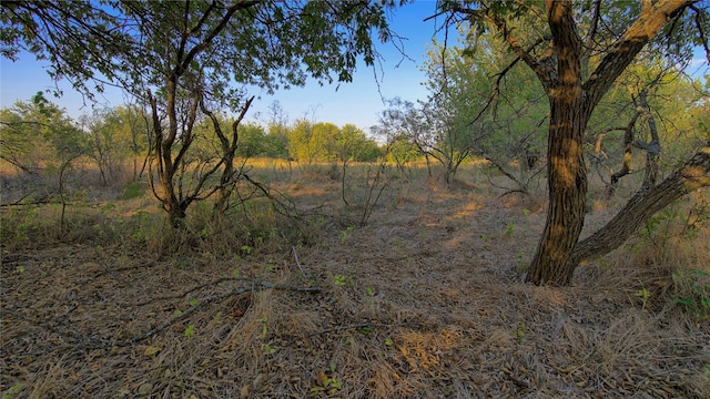 Listing photo 2 for TBD Barrel Spring Road, Nocona TX 76255