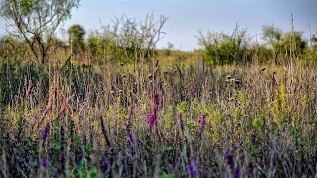 Listing photo 3 for TBD Barrel Spring Road, Nocona TX 76255