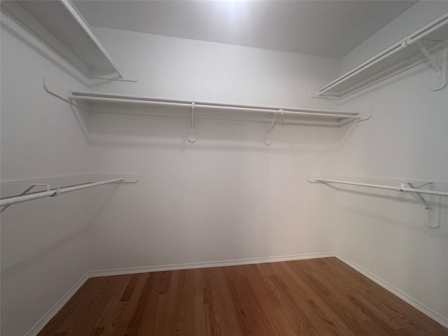 spacious closet with wood-type flooring