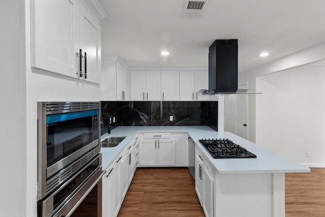 kitchen featuring dark hardwood / wood-style floors, sink, stainless steel appliances, and range hood