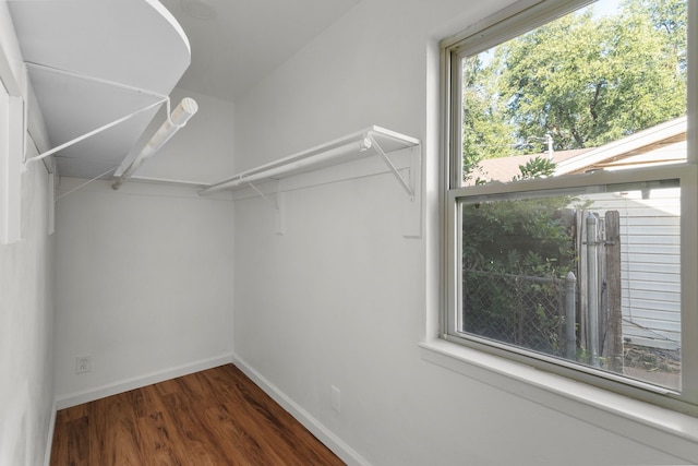 spacious closet with dark hardwood / wood-style floors