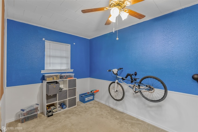 misc room featuring ceiling fan, crown molding, and carpet