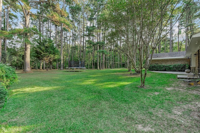 view of yard featuring a trampoline