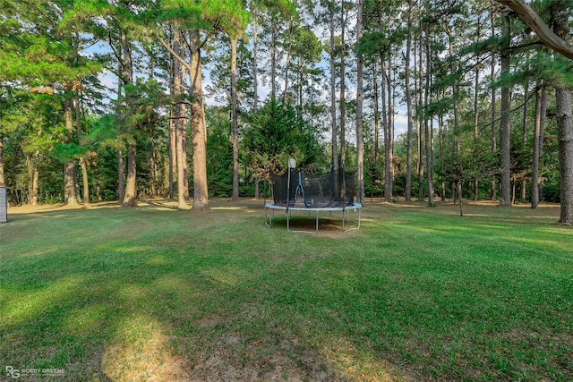 view of yard featuring a trampoline